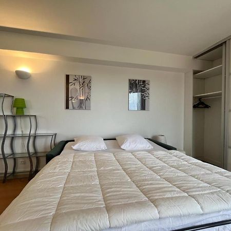Studio Spacieux 40M² A Anglet : Proche Plage, Piscine, Golf, Pour 4 Pers Avec Parking Et Wifi - Fr-1-239-685 Luaran gambar