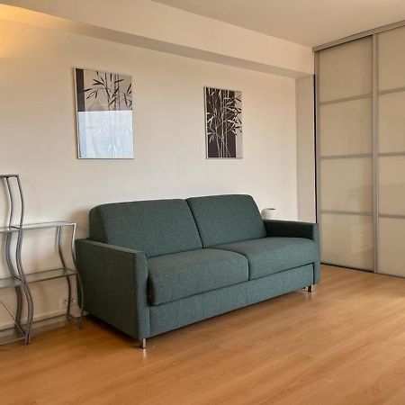 Studio Spacieux 40M² A Anglet : Proche Plage, Piscine, Golf, Pour 4 Pers Avec Parking Et Wifi - Fr-1-239-685 Luaran gambar